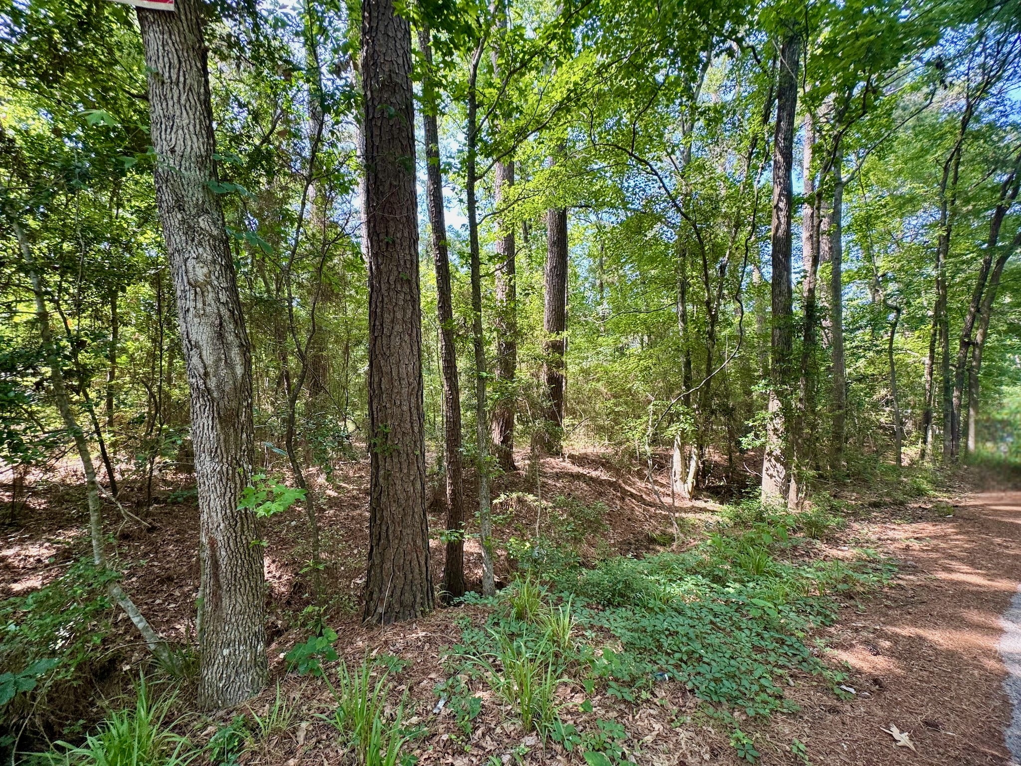 Tbd Crockett Road Willis, TX 77378 - Photo 8 of 13 a view of outdoor space and trees all around
