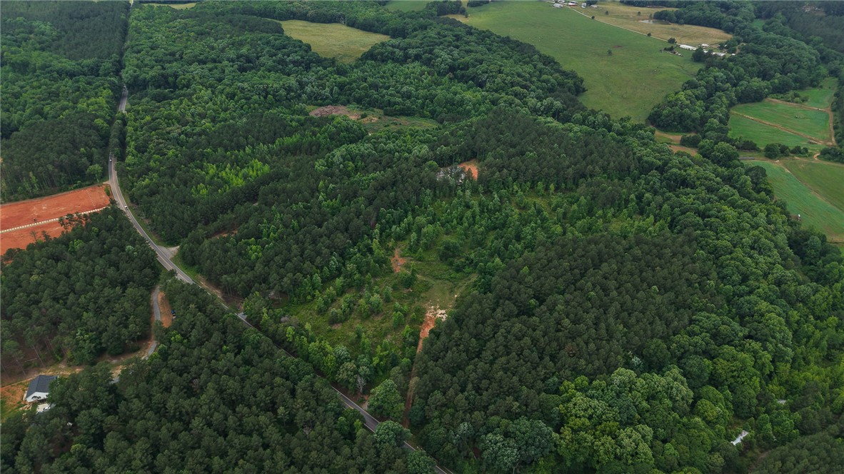 2125 Highway 247 Belton, SC 29627 - Photo 6 of 15 Discover vast, wooded acreage with potential for development and easy road access.