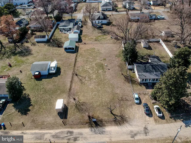 a view of a backyard with large trees