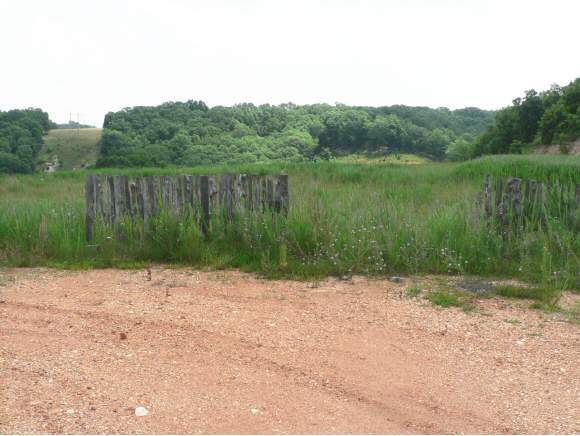 Stoneridge Ctr Branson Centre Reeds Spring, MO 65737 - Photo 1 of 1 Primary Photo