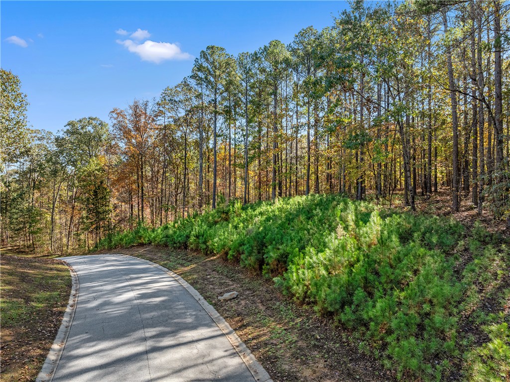 Lot 83 Waterside Crossing Seneca, SC 29672 - Photo 10 of 19