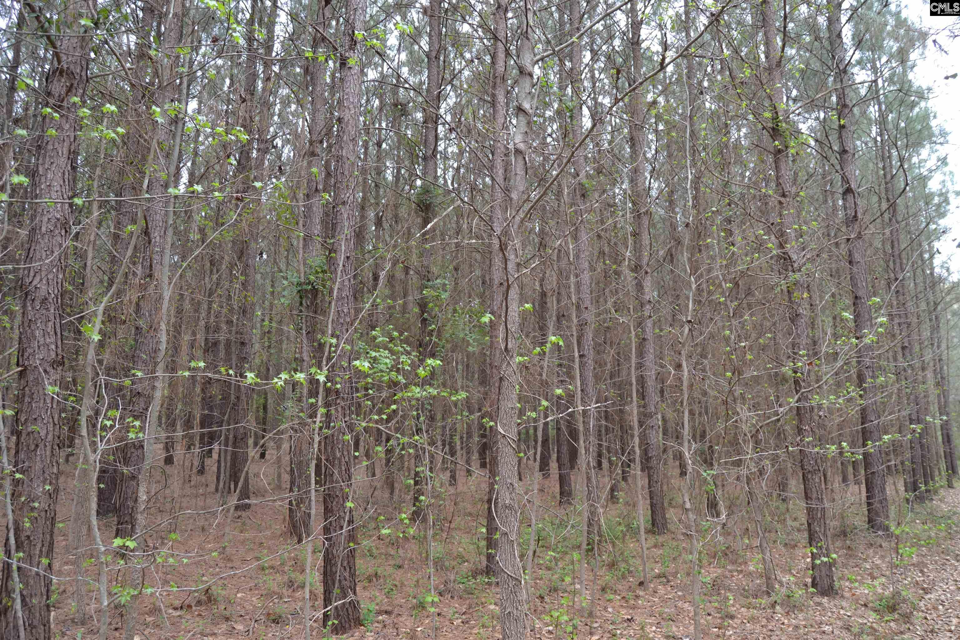 1309 Farming Creek Road Irmo, SC 29063 - Photo 7 of 8