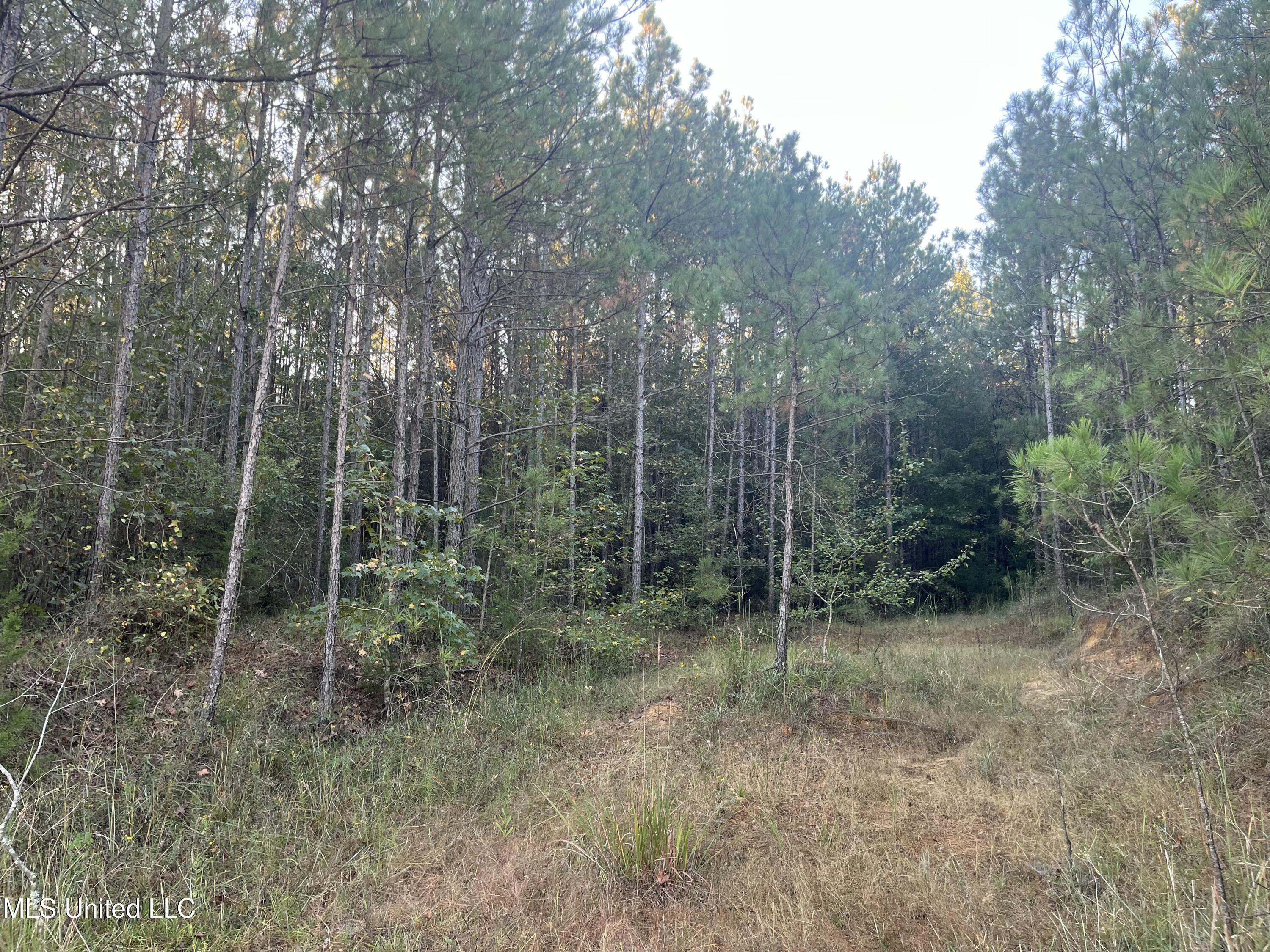 Water Street Carthage, MS 39051 - Photo 11 of 13 Use 10