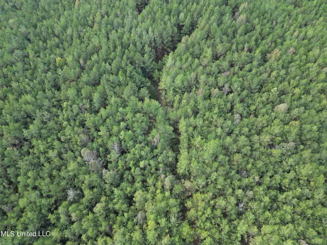 $224,000 | Water Street, Carthage, MS 39051