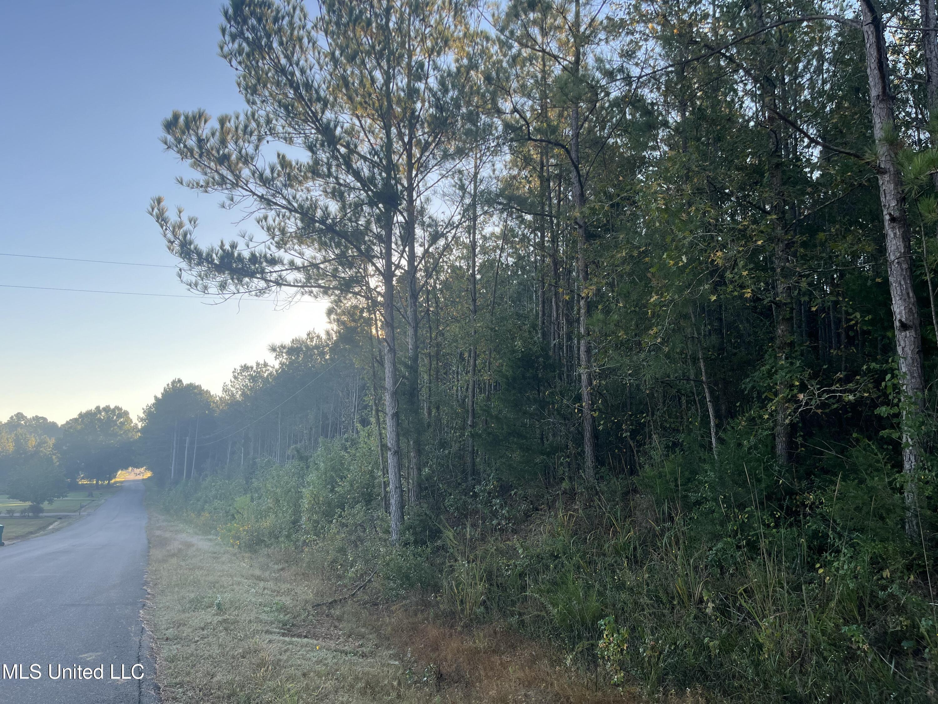 Water Street Carthage, MS 39051 - Photo 5 of 13 USE