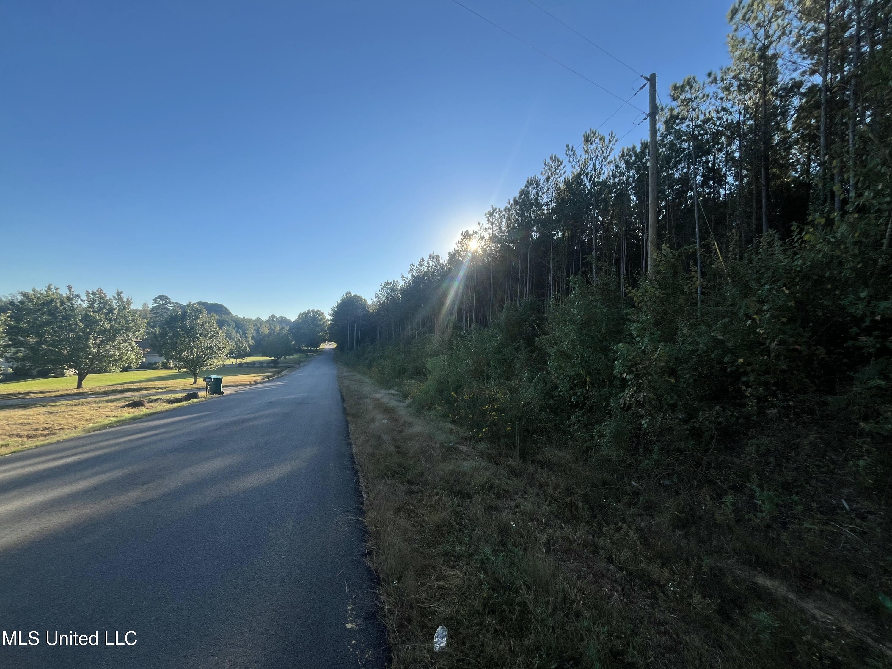 Water Street Carthage, MS 39051 - Photo 7 of 13 Use 6