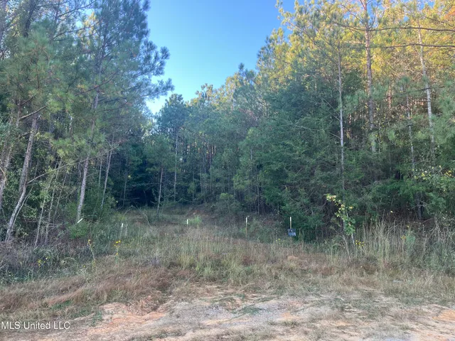 $224,000 | Water Street, Carthage, MS 39051