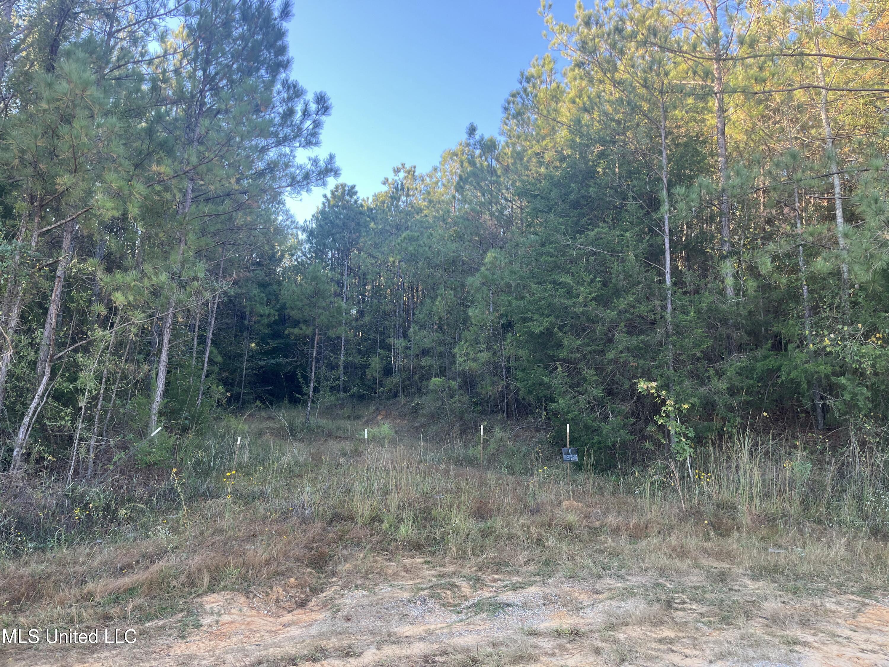 Water Street Carthage, MS 39051 - Photo 8 of 13 Use 7