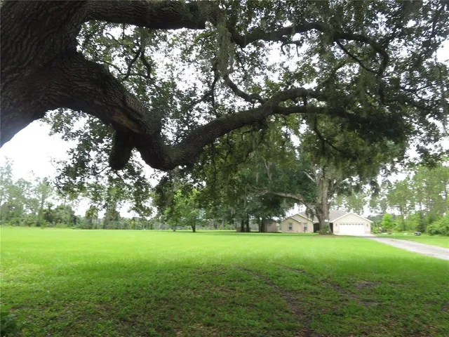a view of grassy field with trees