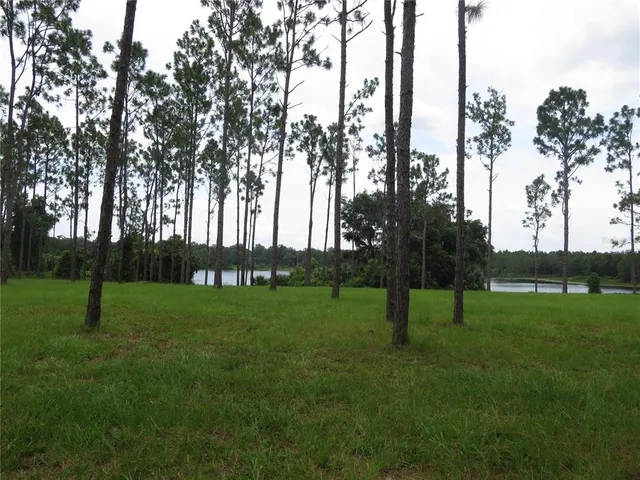 a view of a park with trees in the background