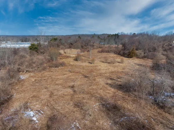 a view of a dry yard