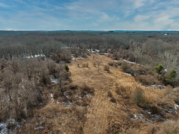 a view of a dry yard with trees