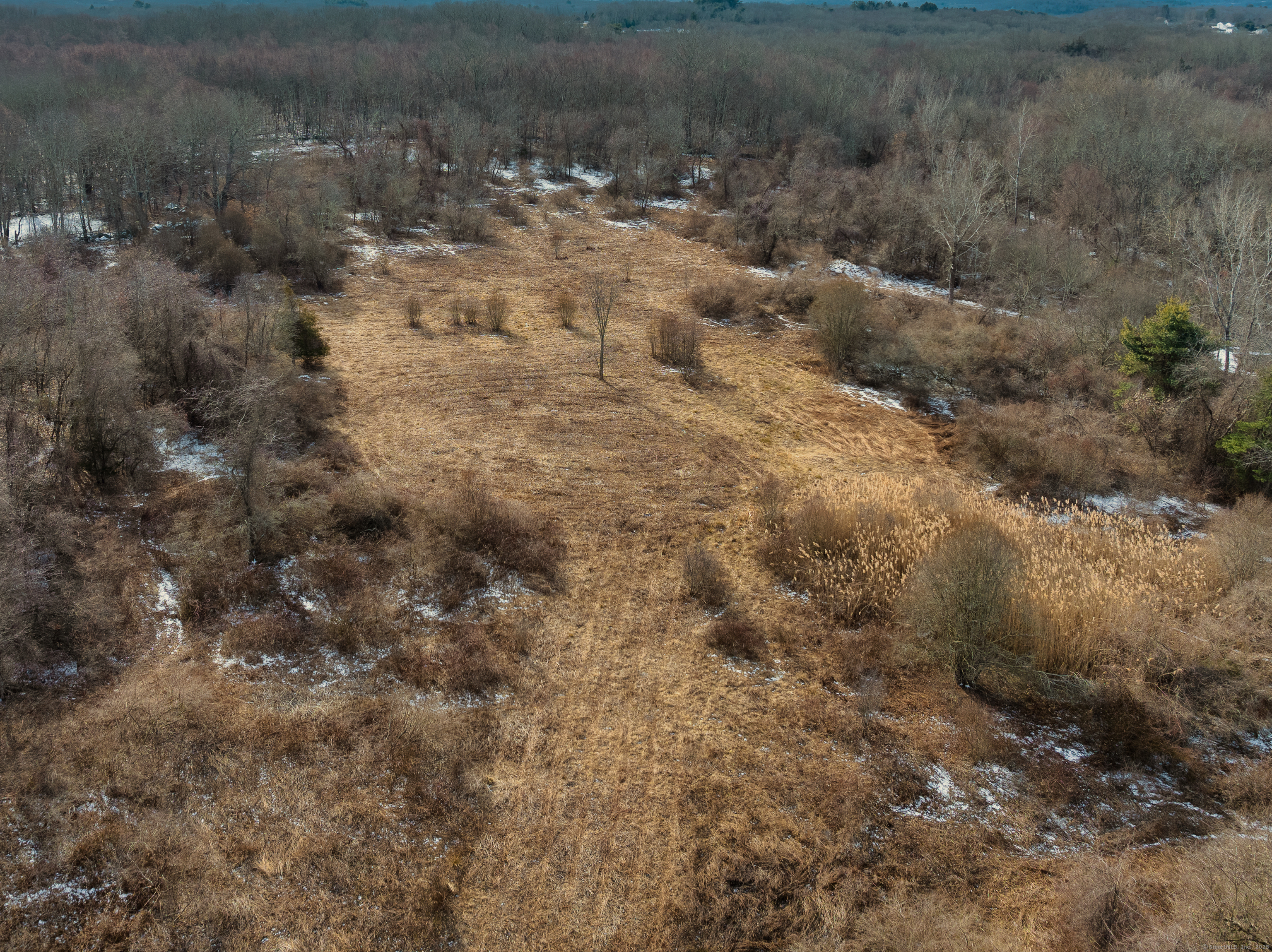523 Voluntown Road Griswold, CT 06351 - Photo 16 of 16 a view of a dry yard with trees