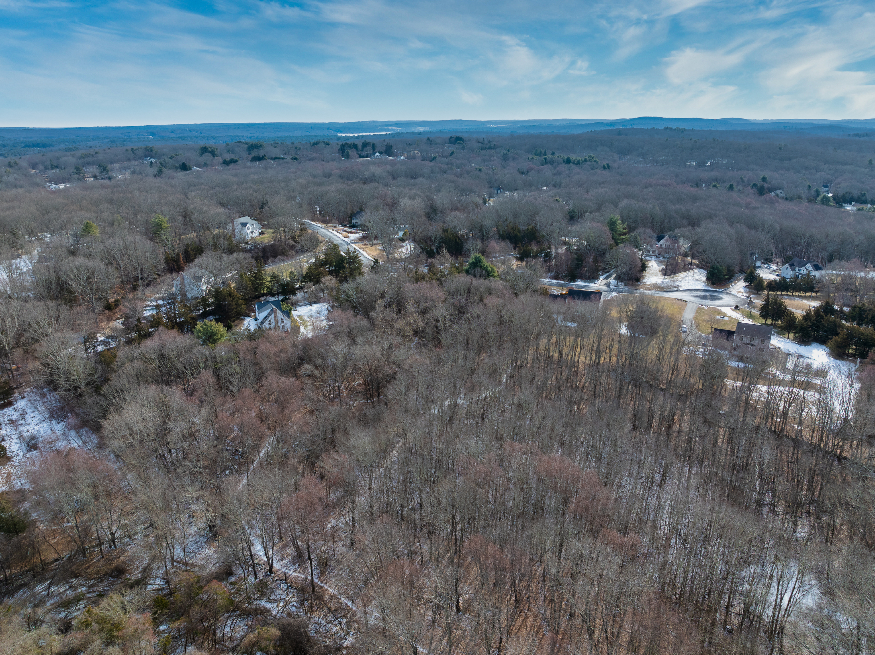 523 Voluntown Road Griswold, CT 06351 - Photo 5 of 16 a view of lot of trees