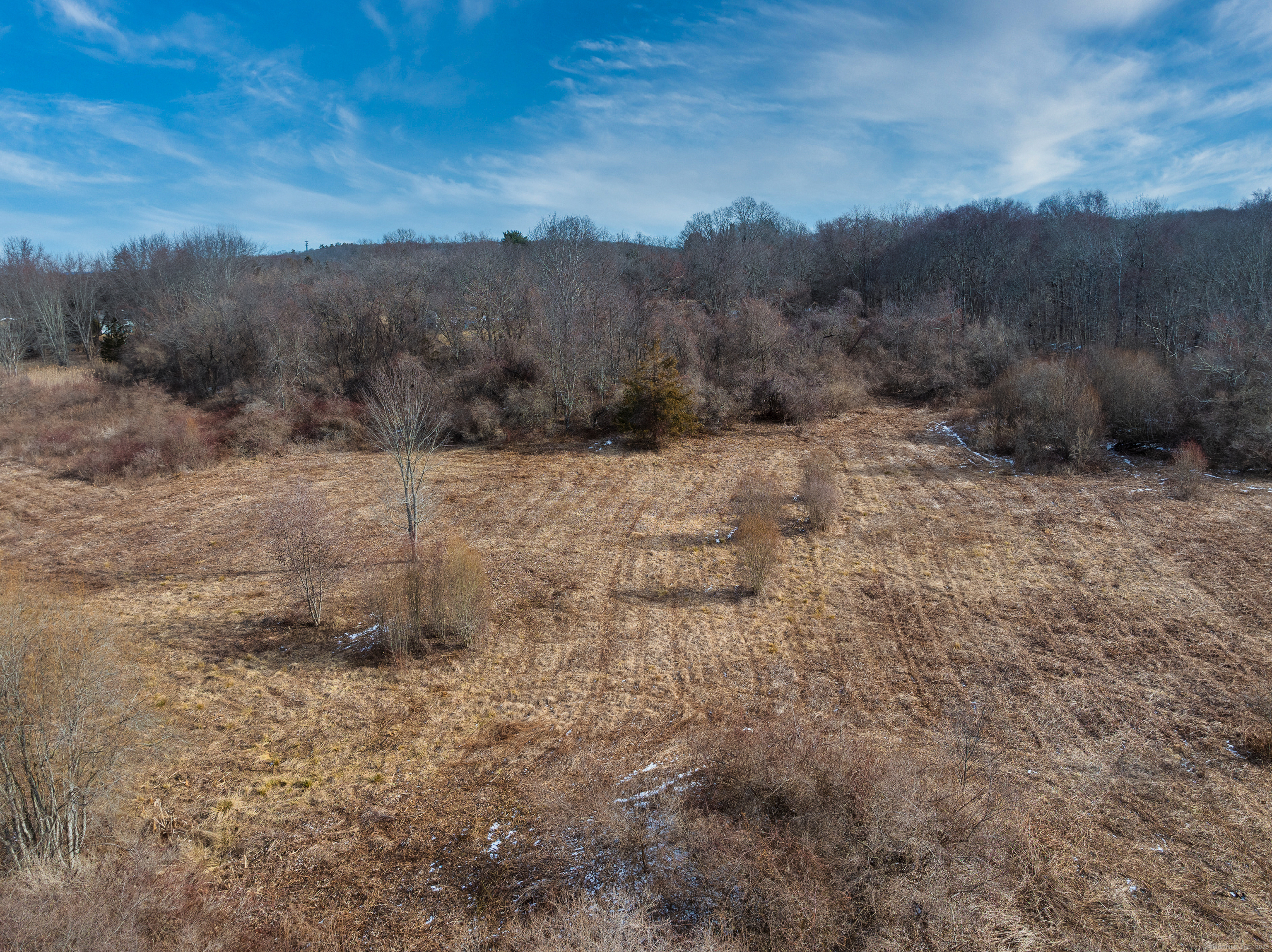 523 Voluntown Road Griswold, CT 06351 - Photo 10 of 16 a view of an dry yard