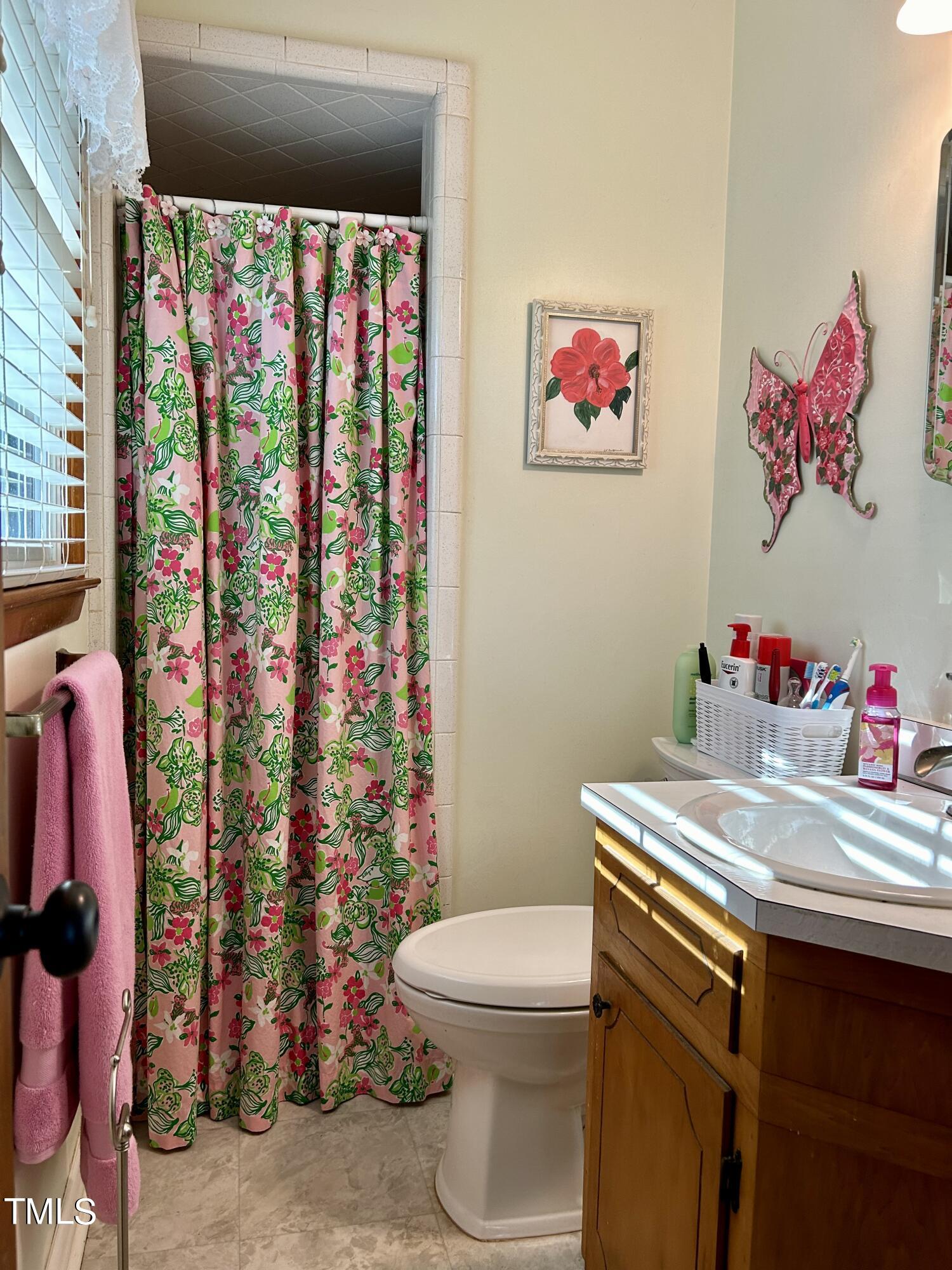 1320 North King Charles Road Raleigh, NC 27610 - Photo 13 of 21 a bathroom with a sink a toilet and a shower curtain