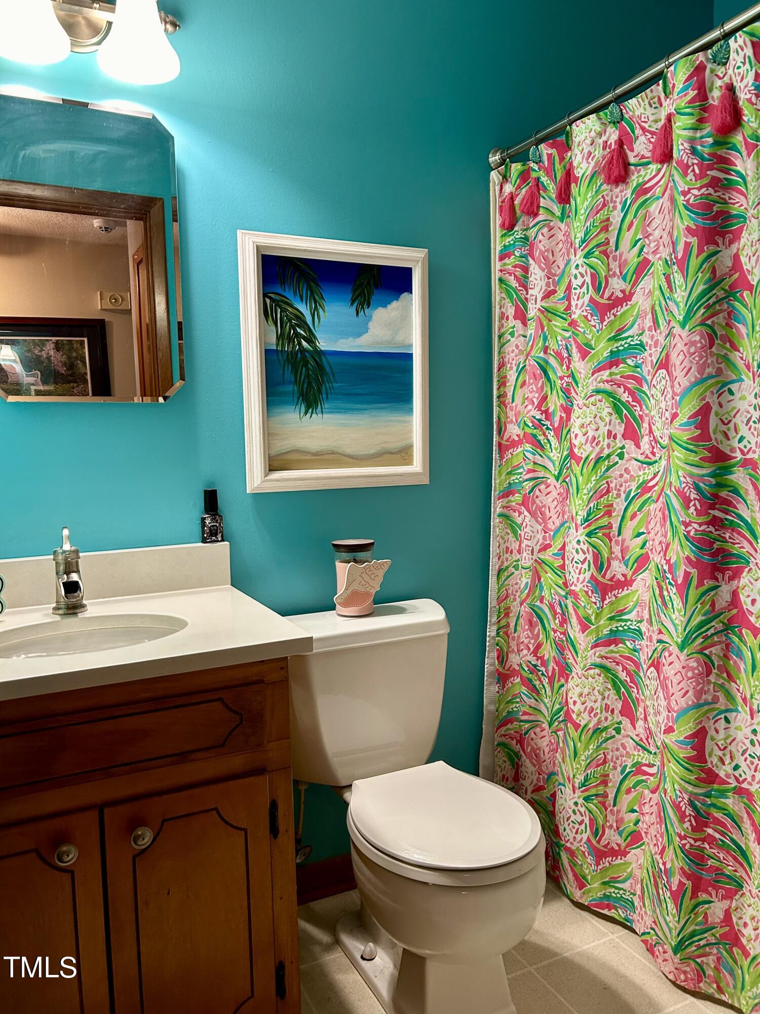 1320 North King Charles Road Raleigh, NC 27610 - Photo 17 of 21 a bathroom with a sink a toilet and a mirror