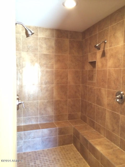 1867 North Geronimo Road Apache Junction, AZ 85119 - Photo 14 of 18 MASTER SHOWER 1