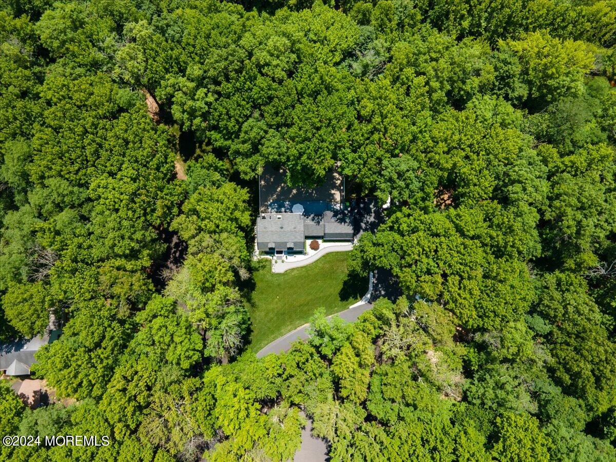 32 Devonshire Drive Morganville, NJ 07751 - Photo 44 of 53 a view of a garden with plants