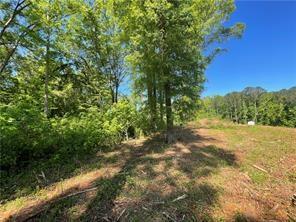 1111 Dockside Drive Buckhead, GA 30625 - Photo 6 of 15 a view of a yard with a tree