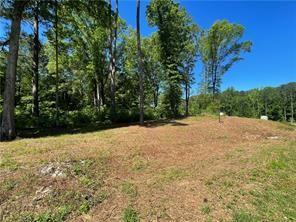 1111 Dockside Drive Buckhead, GA 30625 - Photo 7 of 15 a view of a yard with trees