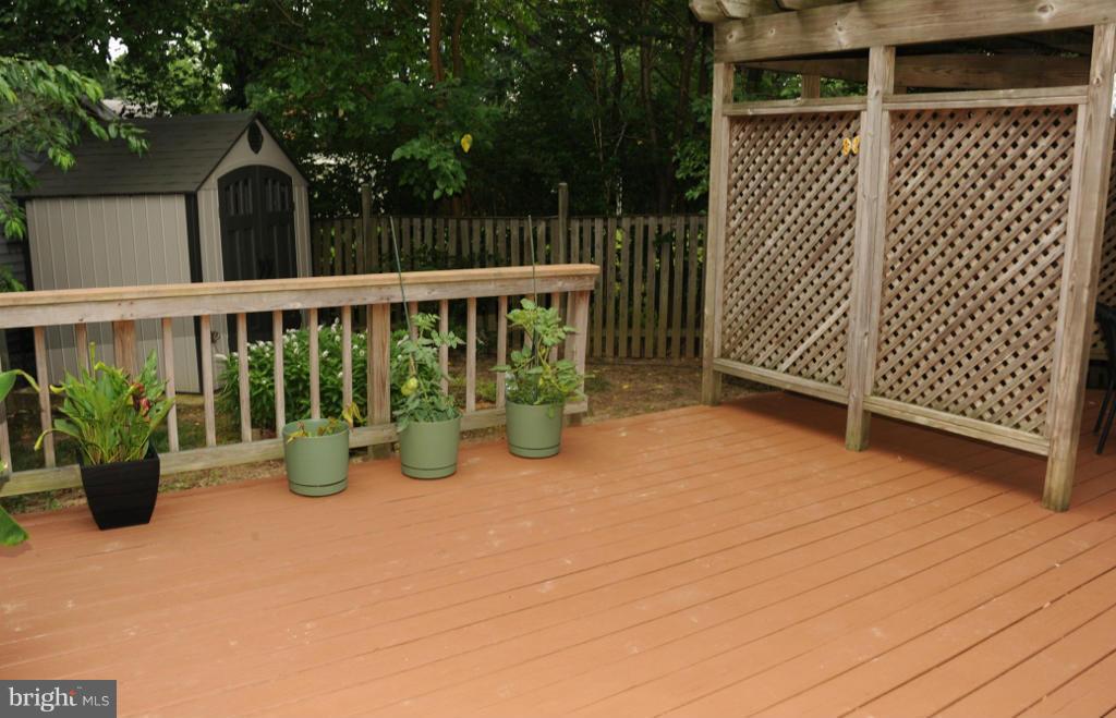 6343 Beryl Road Alexandria, VA 22312 - Photo 22 of 25 Deck