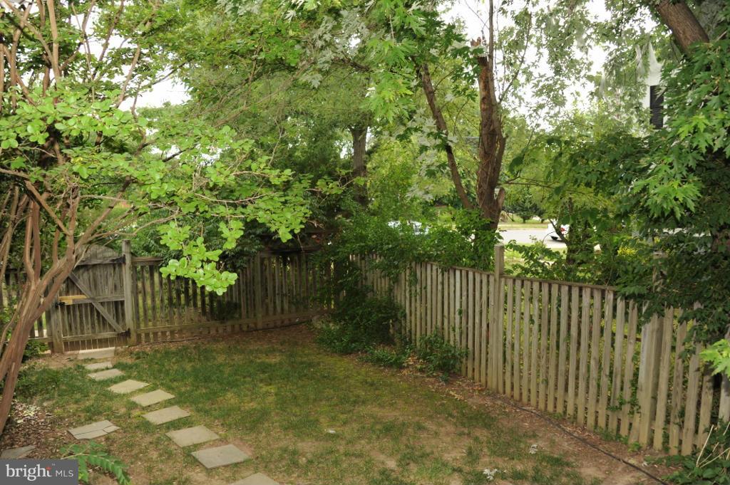 6343 Beryl Road Alexandria, VA 22312 - Photo 25 of 25 Backyard