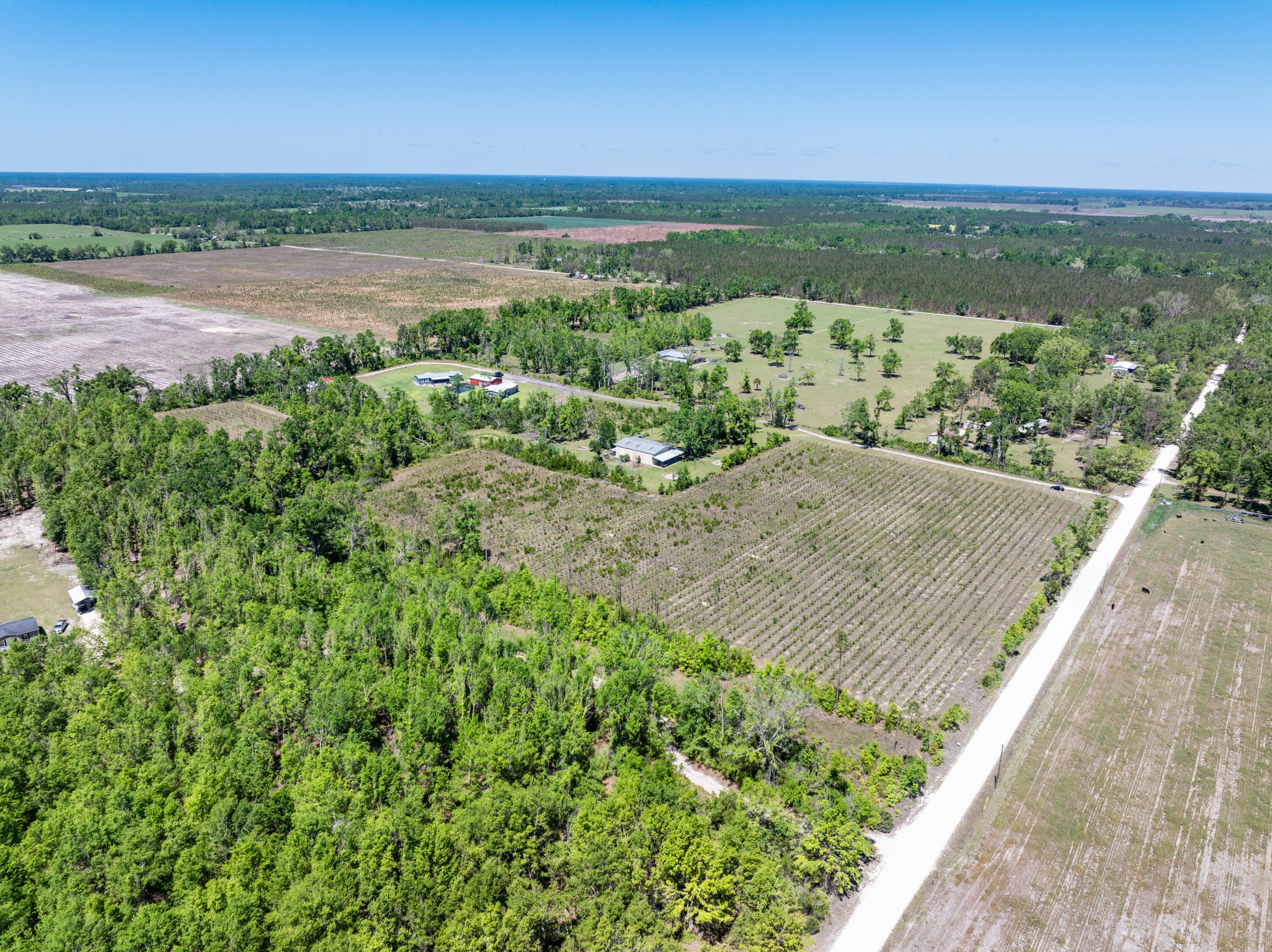 14625 201st Road Live Oak, FL 32060 - Photo 54 of 72 DJI_20250408131249_0037_D
