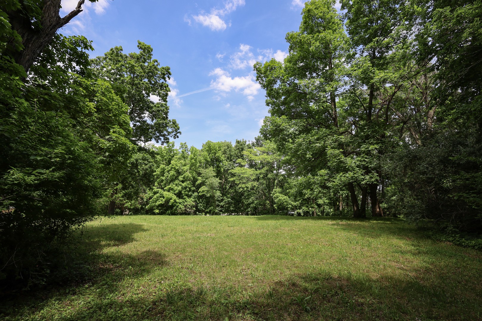 410 North Kruse Road Mount Zion, IL 62549 - Photo 5 of 6