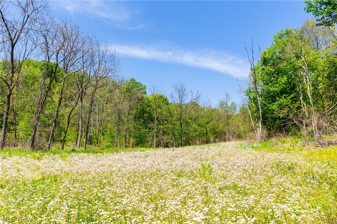 37500 Goose Run Road Dexter City, OH 45727 - Photo 45 of 50