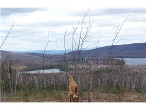 909 Lake Tarleton Road Warren, NH 03279 - Photo 2 of 6 Gallery Image 2