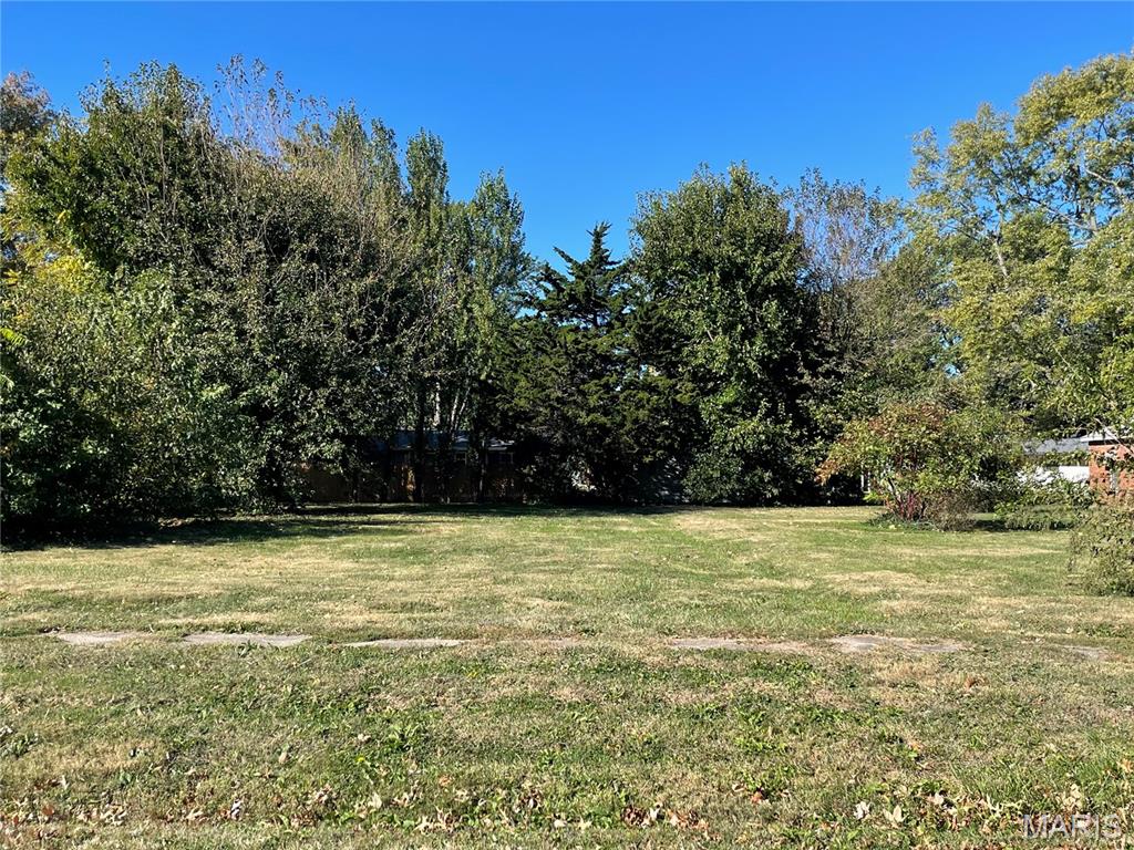 Tbd North Madison Street Litchfield, IL 62056 - Photo 1 of 2