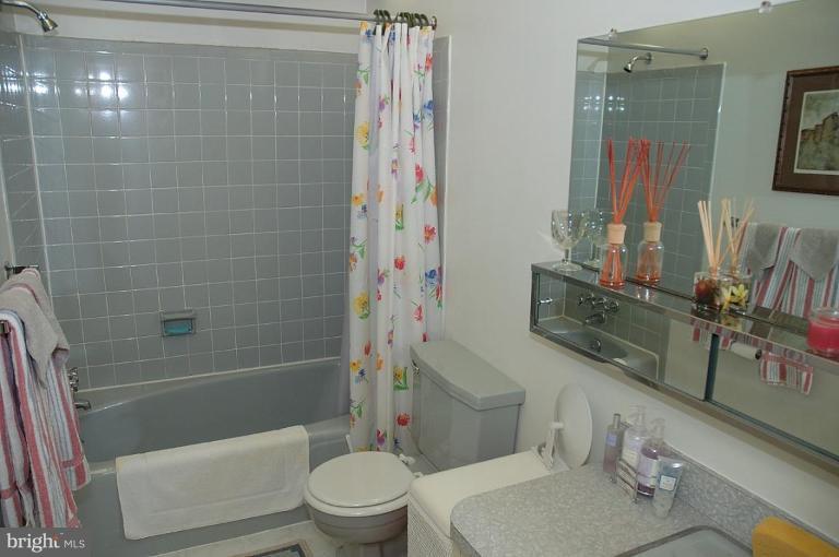 7720 Elba Road Alexandria, VA 22306 - Photo 12 of 20 Guest Bath Lower Level