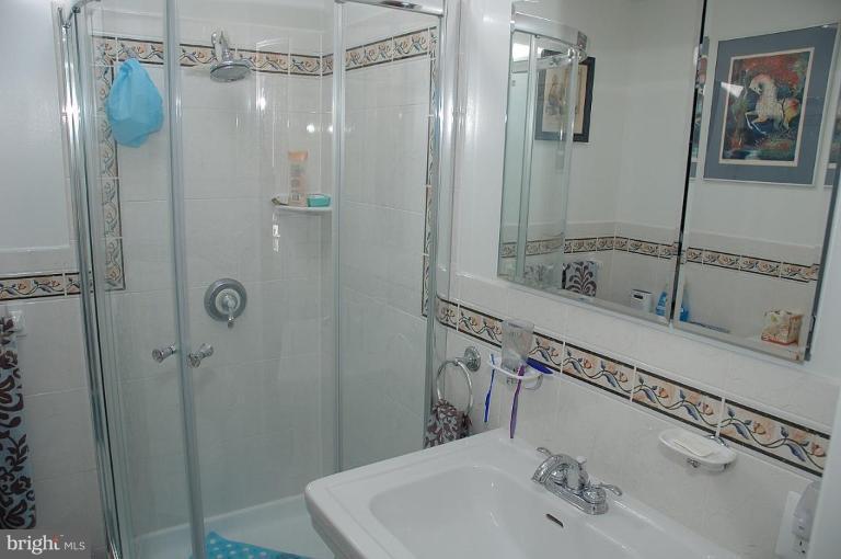 7720 Elba Road Alexandria, VA 22306 - Photo 14 of 20 Sky-Lit Master Bath