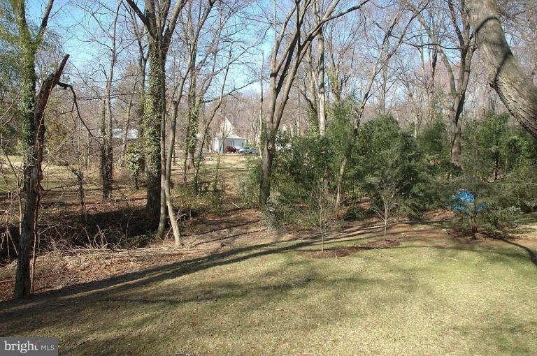 7720 Elba Road Alexandria, VA 22306 - Photo 18 of 20 Backyard