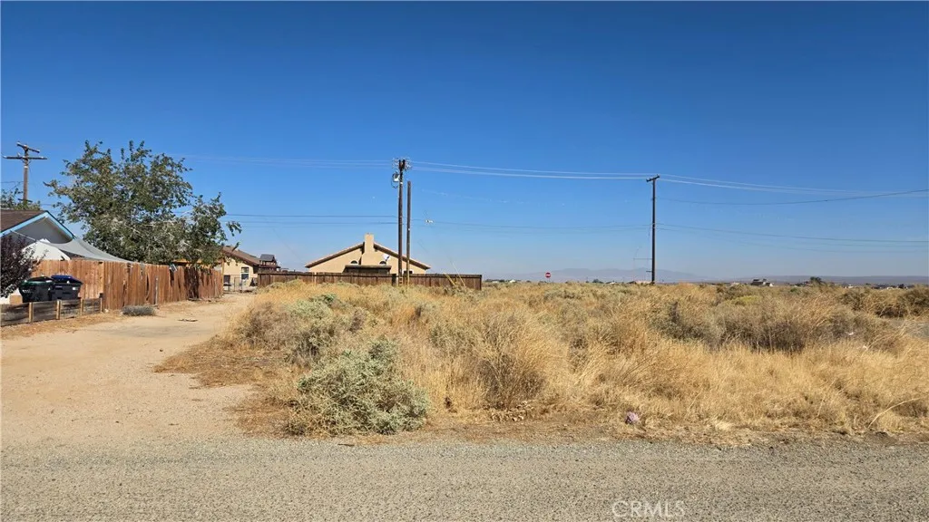 0 Bay Avenue Edwards, CA 93523 - Photo 7 of 13 a view of a dry yard with a tree