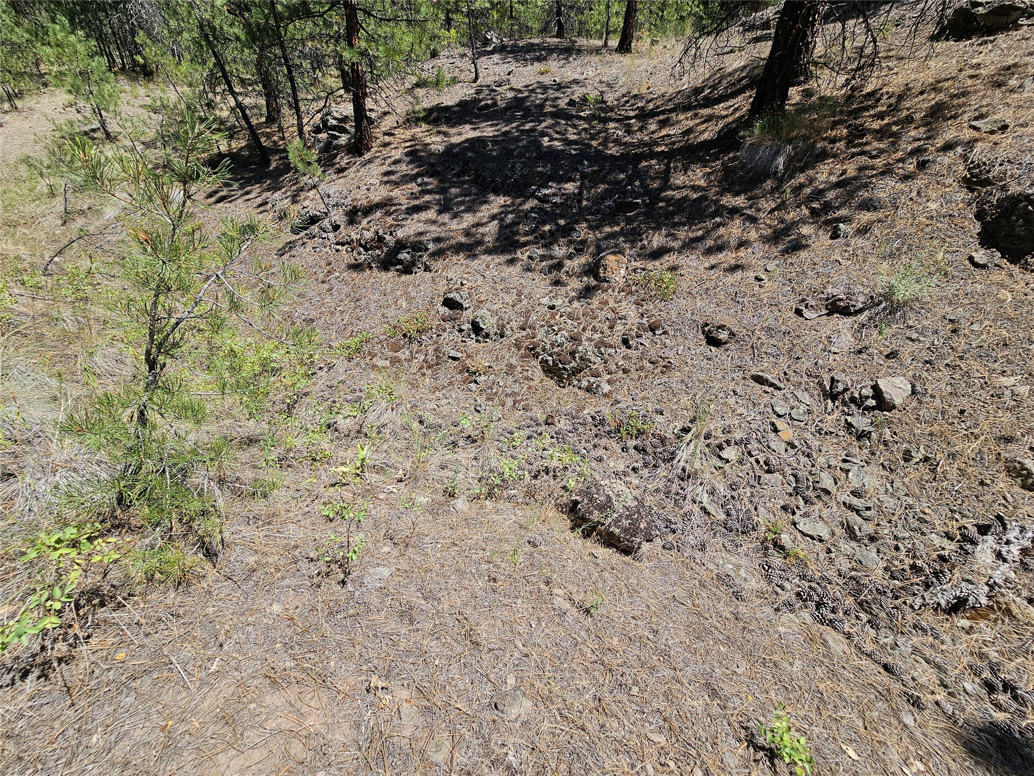 Nhn Upper Sawmill Creek Road Cascade, MT 59421 - Photo 21 of 28 Gallery Image 21