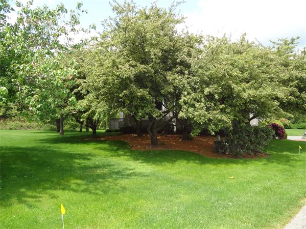 14 Hopewell Farm Road, Unit 14 Natick, MA 01760 - Photo 2 of 20 Gallery Image 2