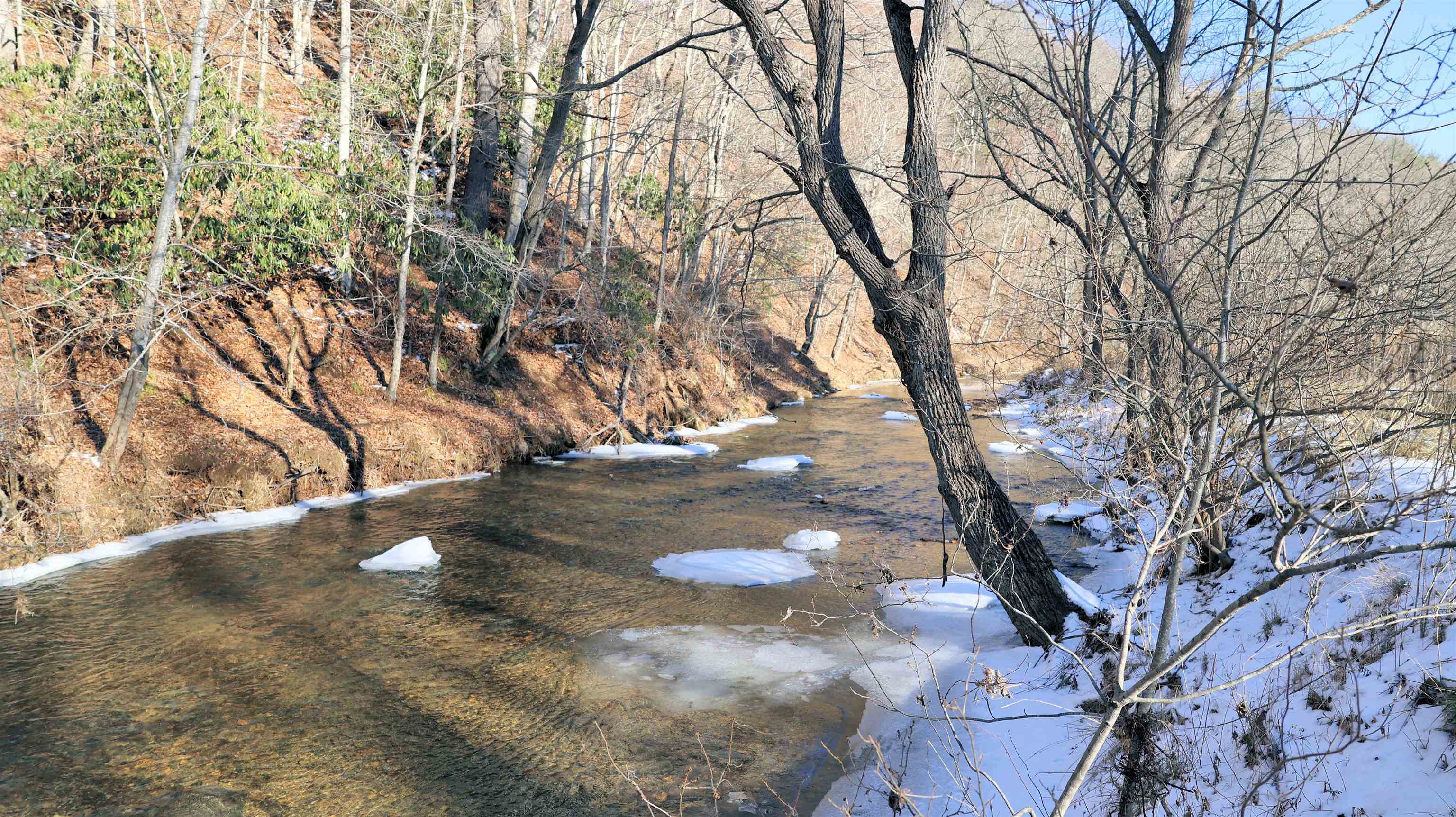 Tbd Webbs Mill Road North Floyd, VA 24091 - Photo 2 of 22 Gallery Image 2