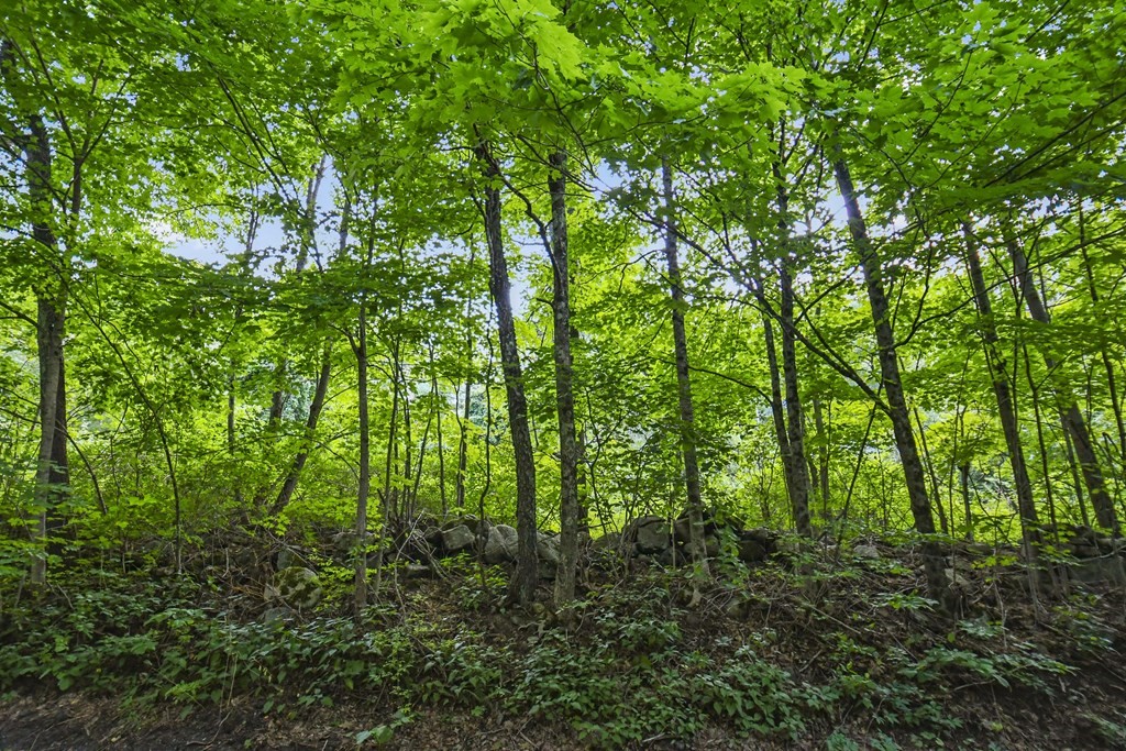 6 Tiderman Road Wales, MA 01081 - Photo 3 of 12 Gallery Image 3