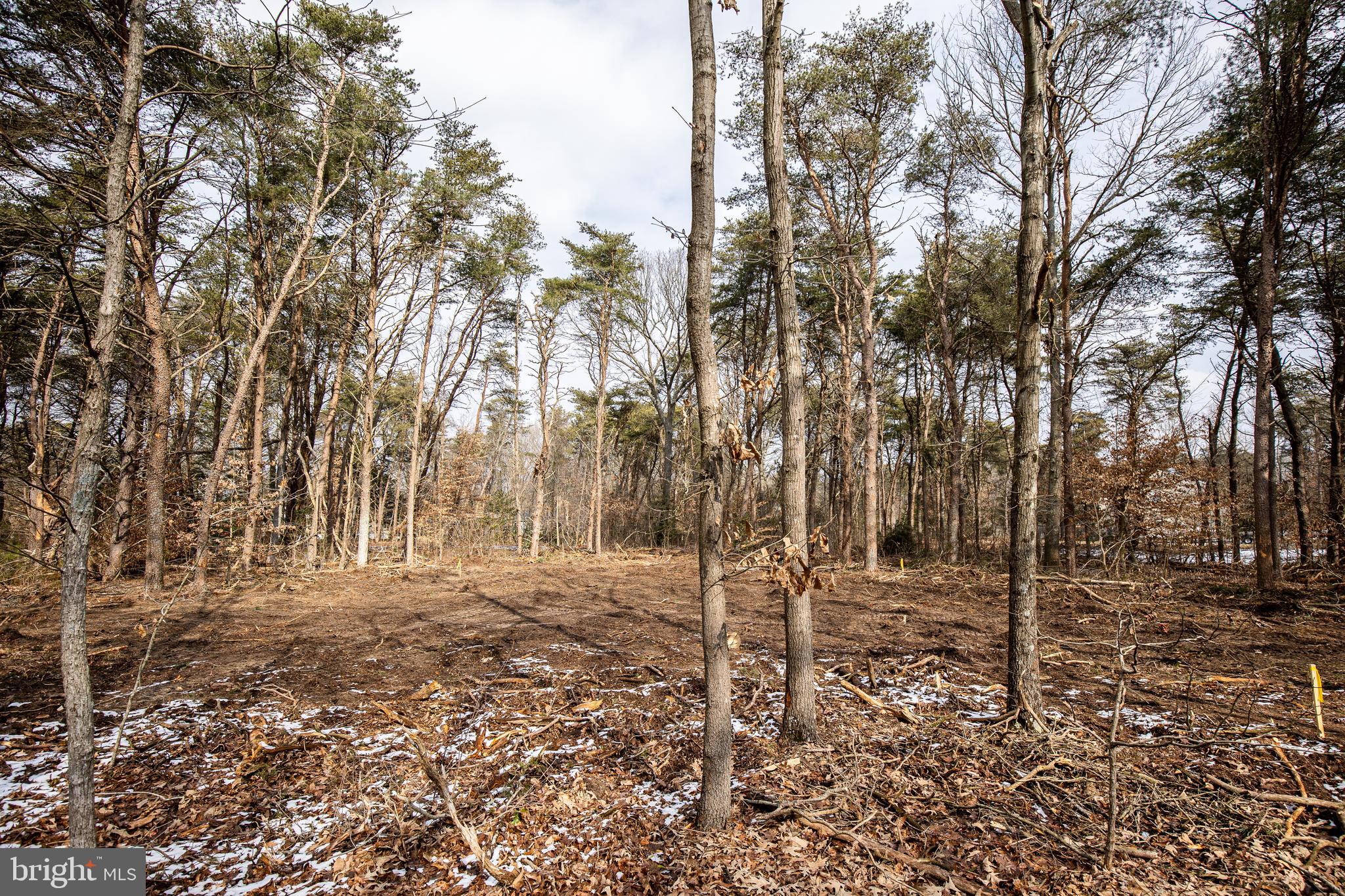 810 Double Creek Point Road Chestertown, MD 21620 - Photo 22 of 22 Gallery Image 22