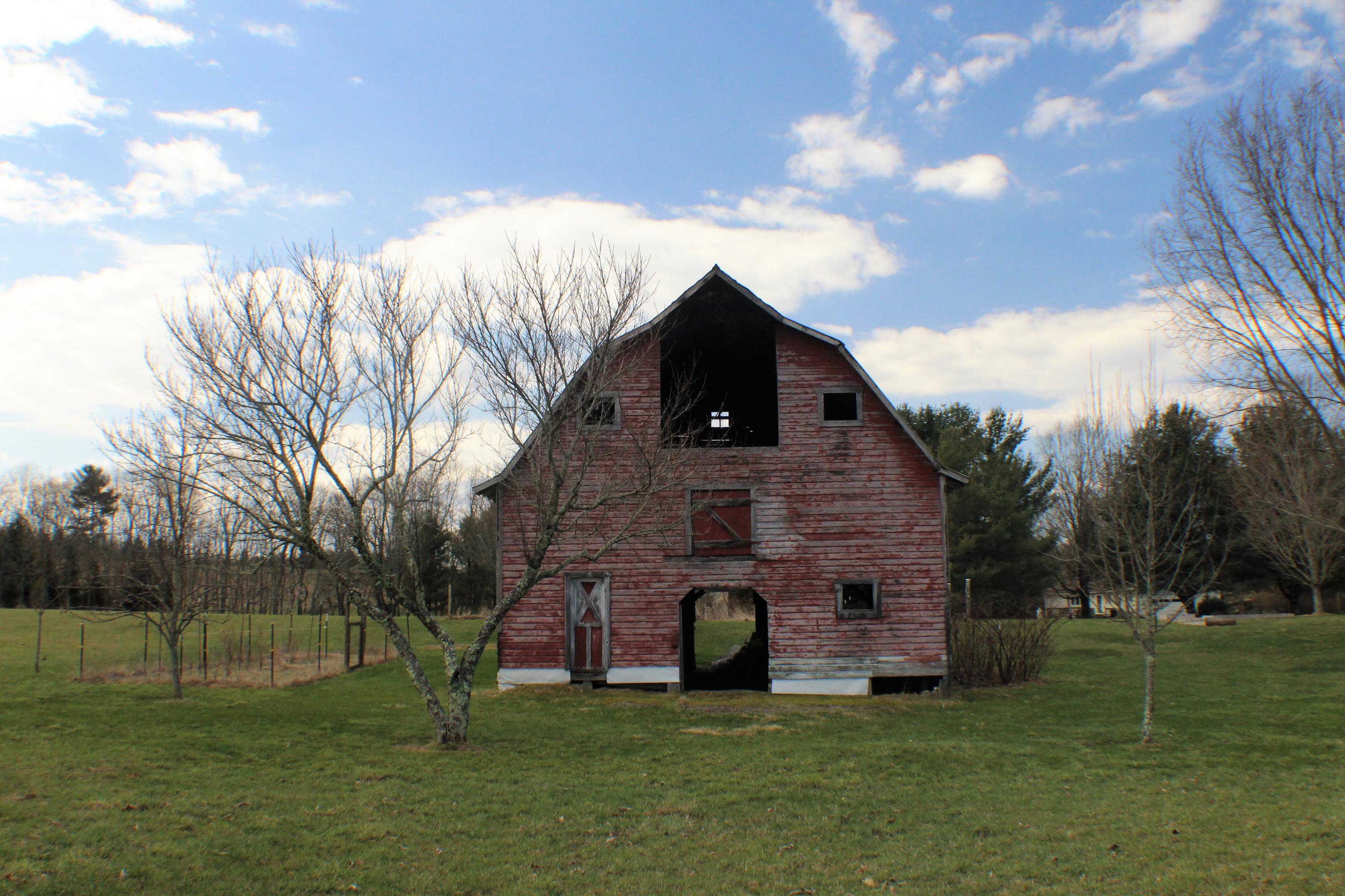 853 Back Draft Road Green Bank, WV 24944 - Photo 73 of 97 Gallery Image 73