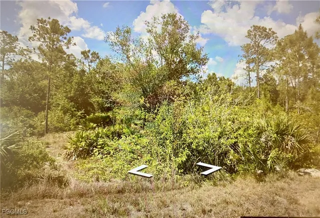 a view of a tree with some trees in front of it