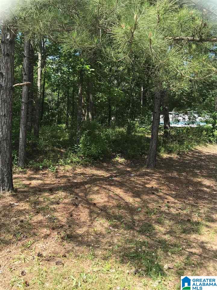 625 Pine Road Pell City, AL 35125 - Photo 2 of 3