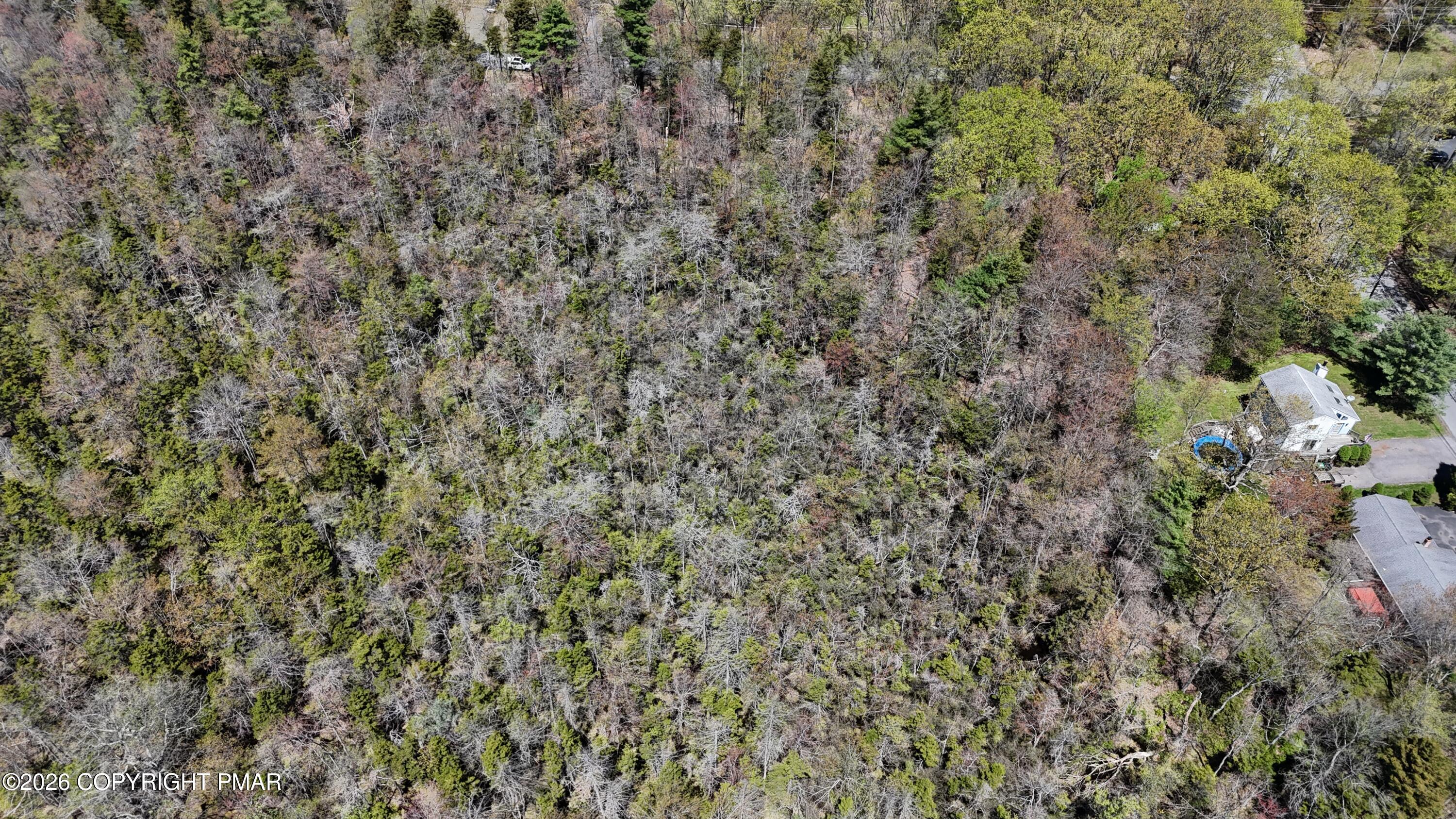 Lot 623 Laurel Road Pocono Summit, PA 18346 - Photo 3 of 4 a view of a dry yard with green space