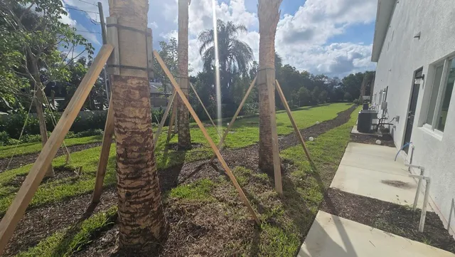 a view of a yard in a garden