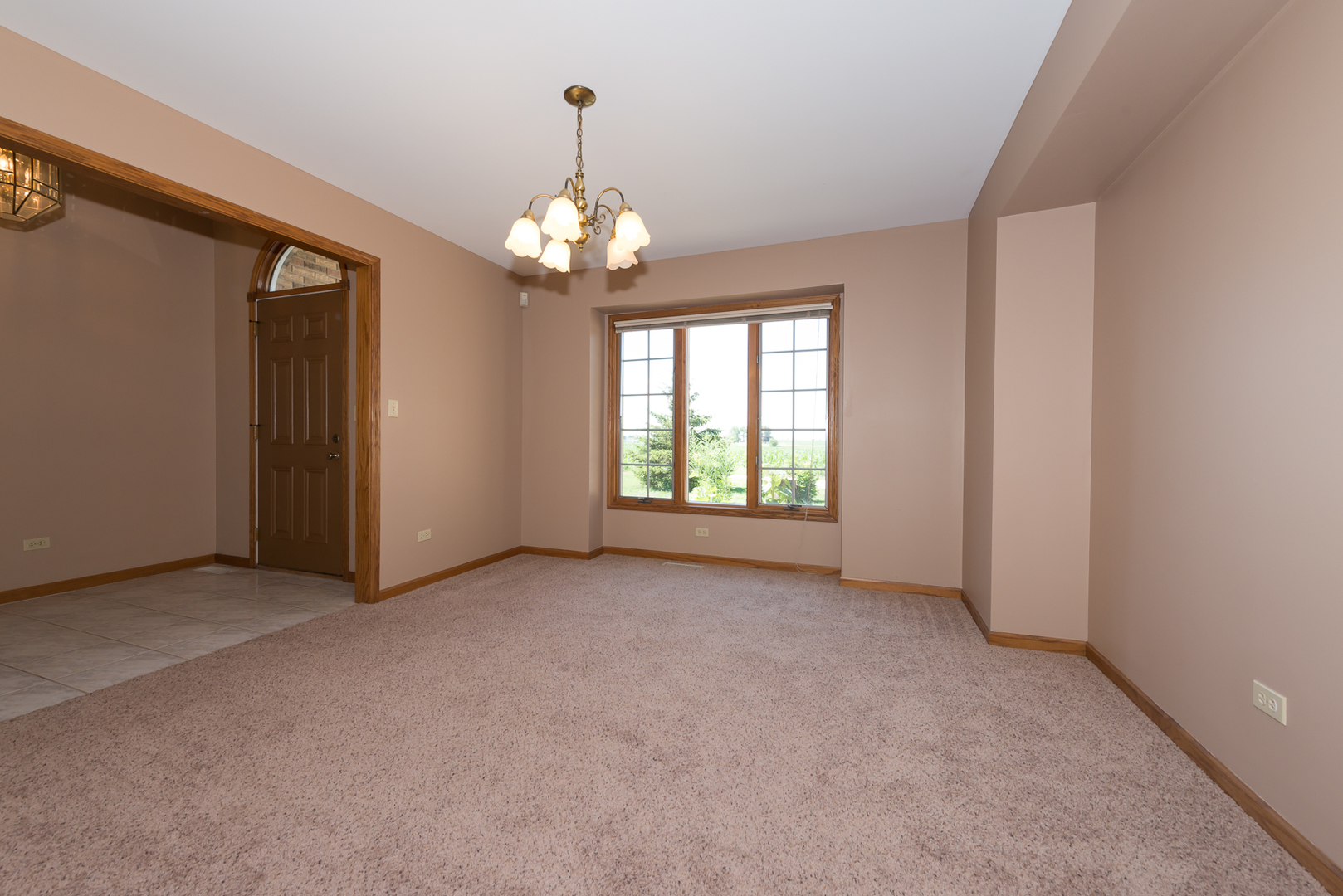 25864 West Black Road Shorewood, IL 60404 - Photo 4 of 27