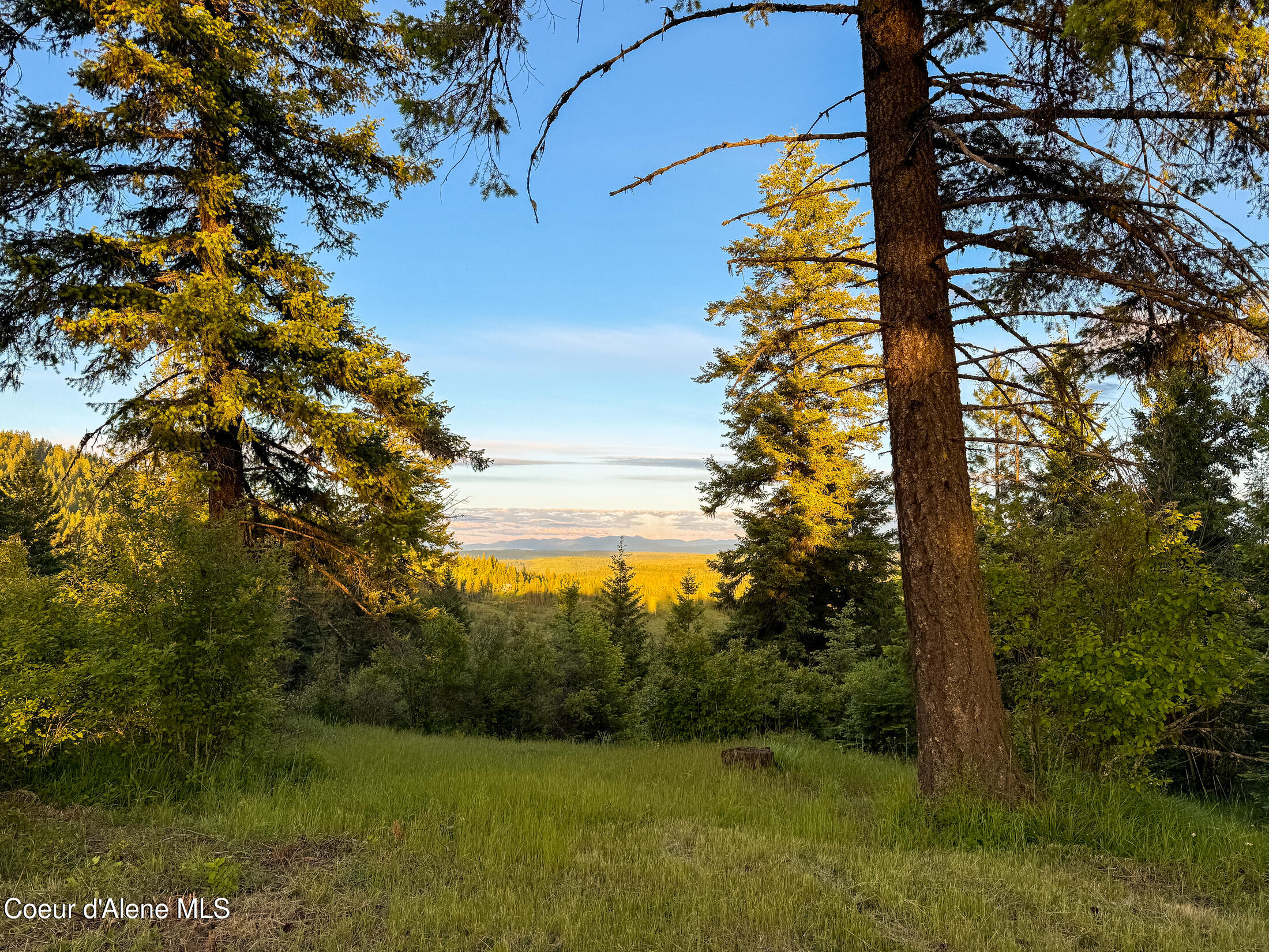 Lot 2 Ridgeview Drive St. Maries, ID 83861 - Photo 7 of 24 IMG_6976-23