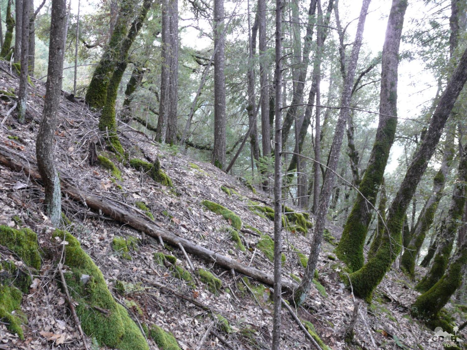320 Sawtooth Ridge Road Emigrant Gap, CA 95715 - Photo 12 of 14 Additional Photo