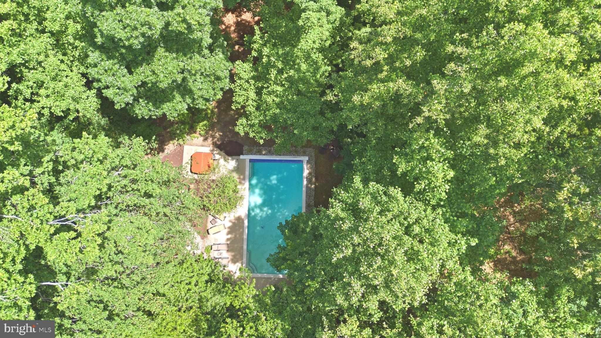 7715 Grasty Road Baltimore, MD 21208 - Photo 45 of 48 Entertain around the Pool